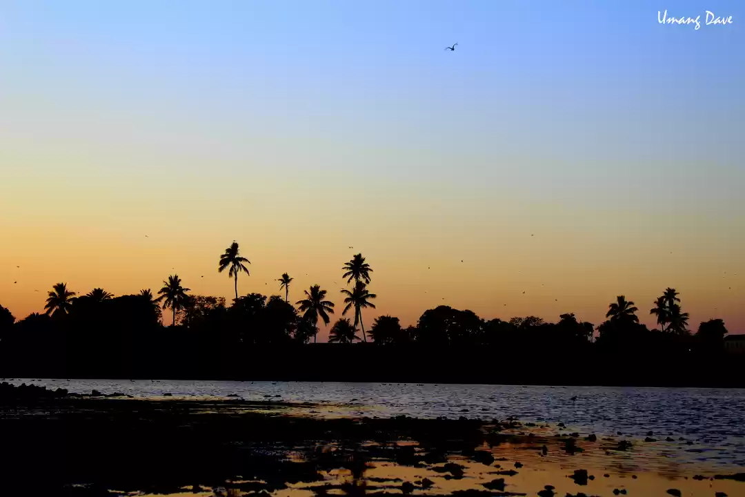 Photo of Must visit places in