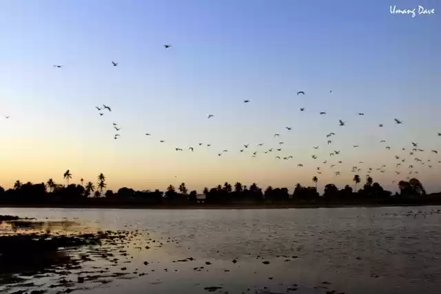 Photo of 10 pictures to inspi