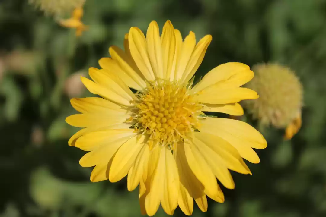 Photo of Most beautiful trek 