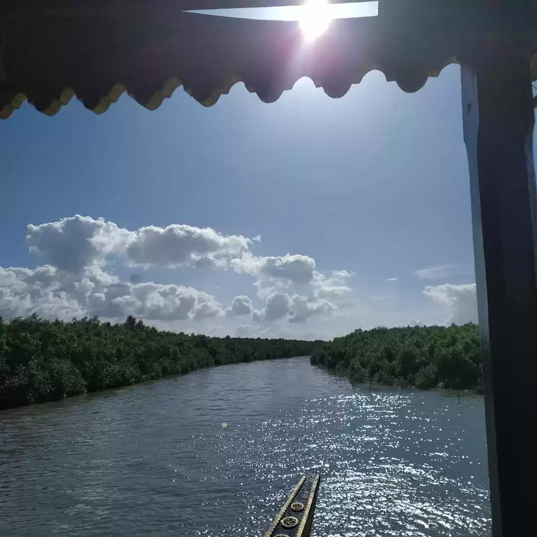 Photo of World's Largest Mang