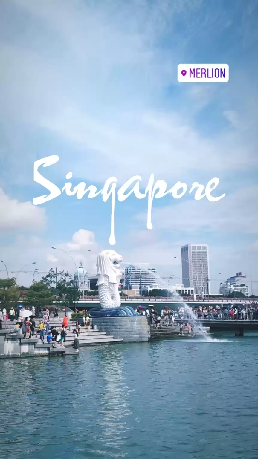 Photo of Everything You Need