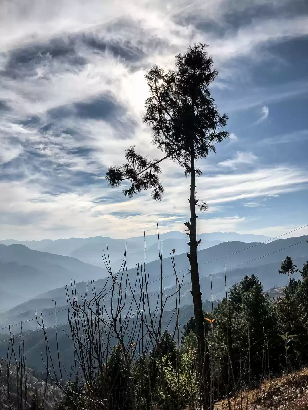 Photo of I found a home in Fa