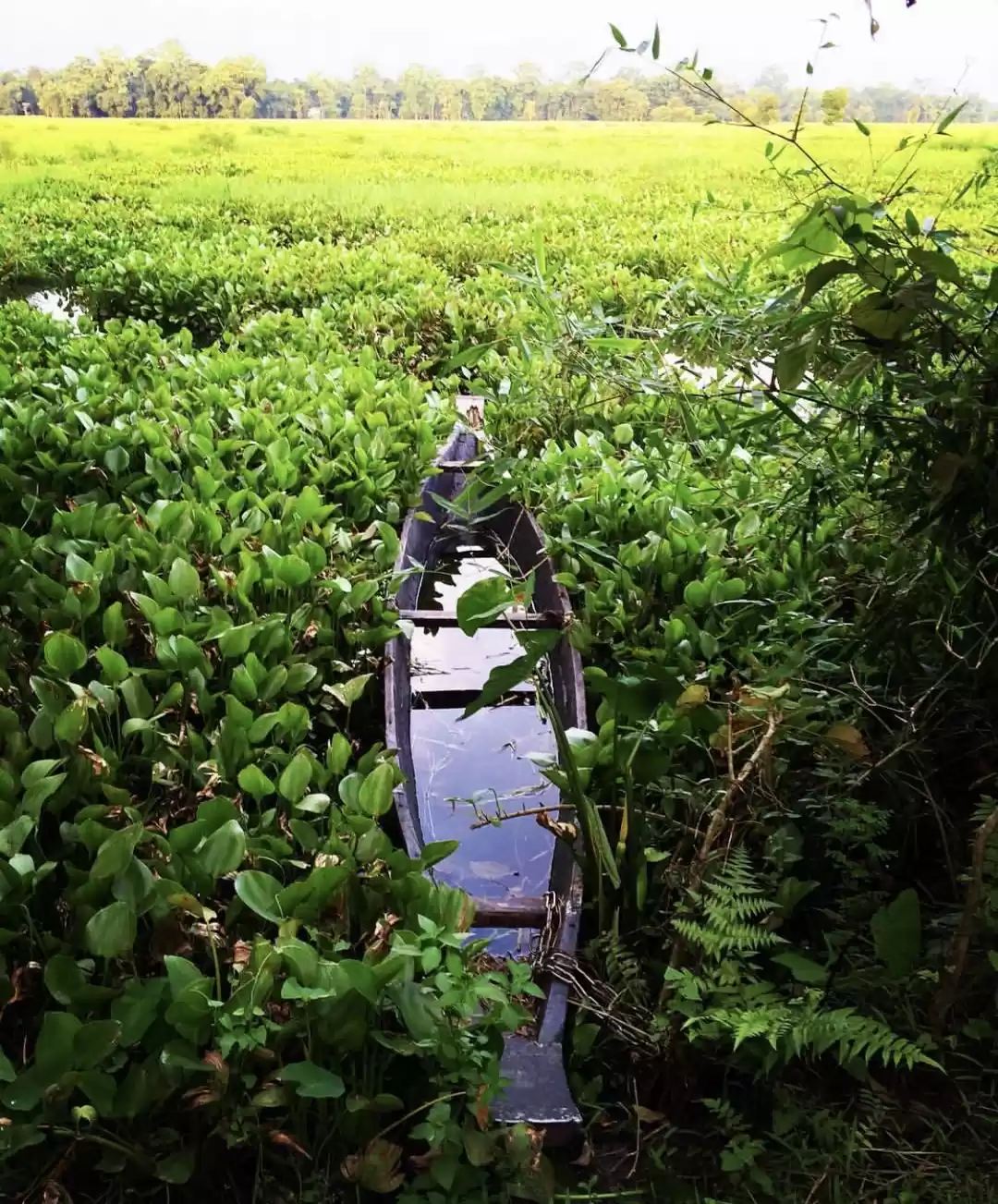 Photo of MAJULI - The biggest
