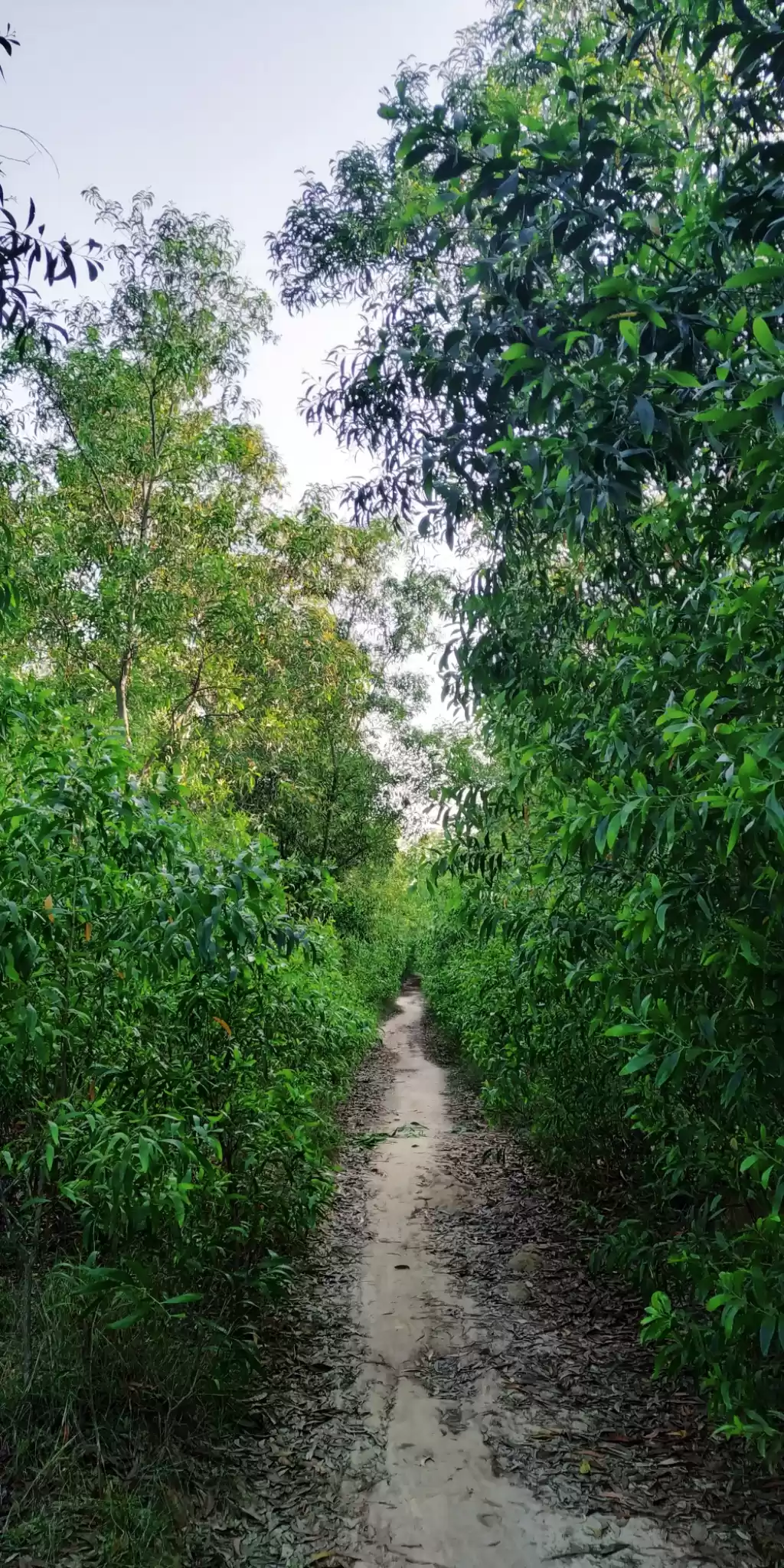 Photo of Kharagpur : Off beat