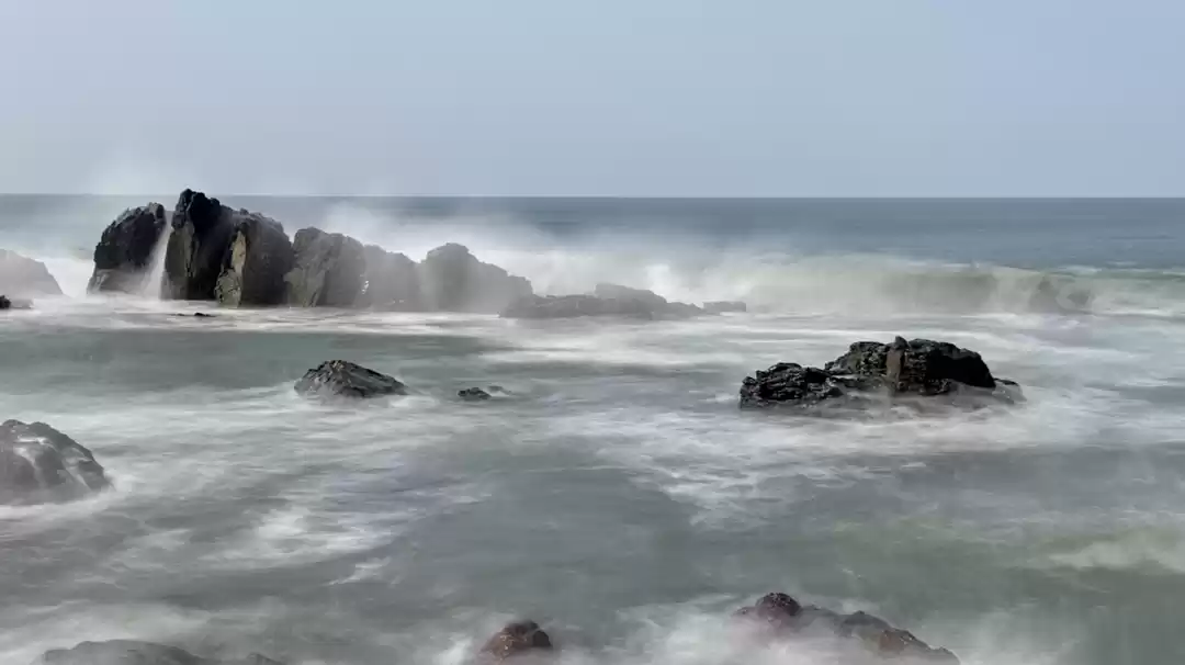 Photo of Arambol Goa diaries