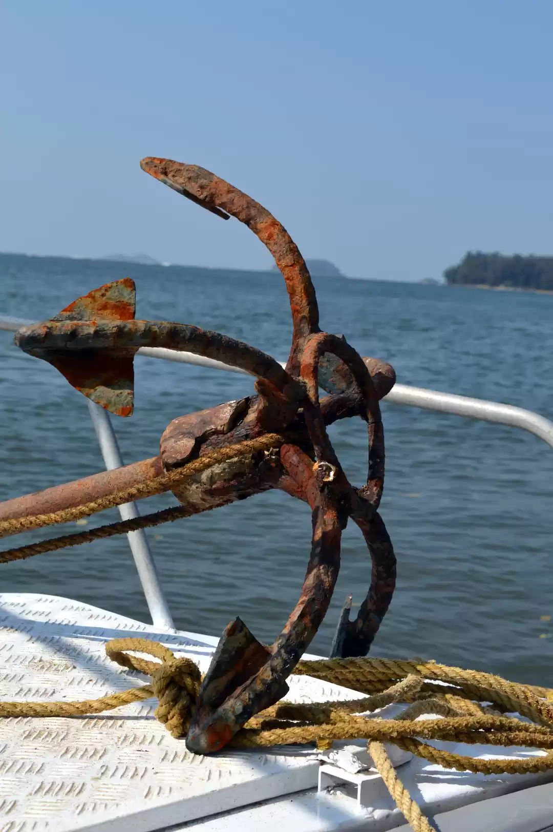 Photo of Karwar- Landscape is