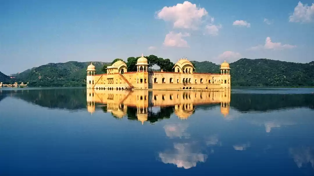 Photo of Roaring Ranthambore 