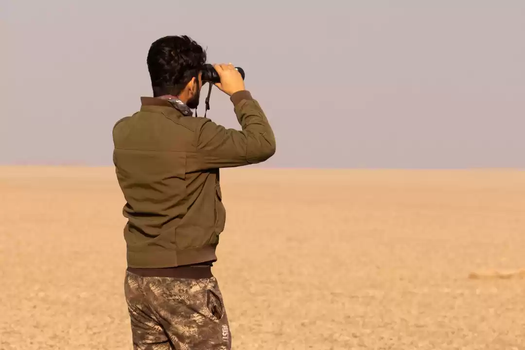 Photo of Bird Photography in