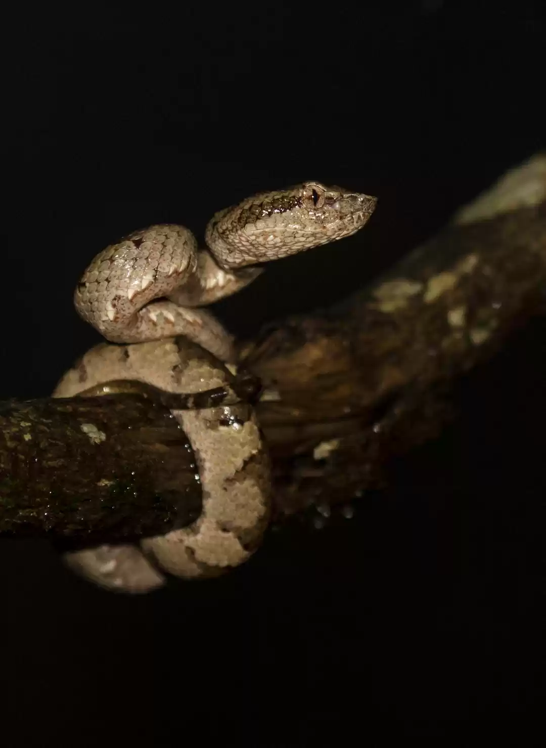 Photo of Photographers – How 