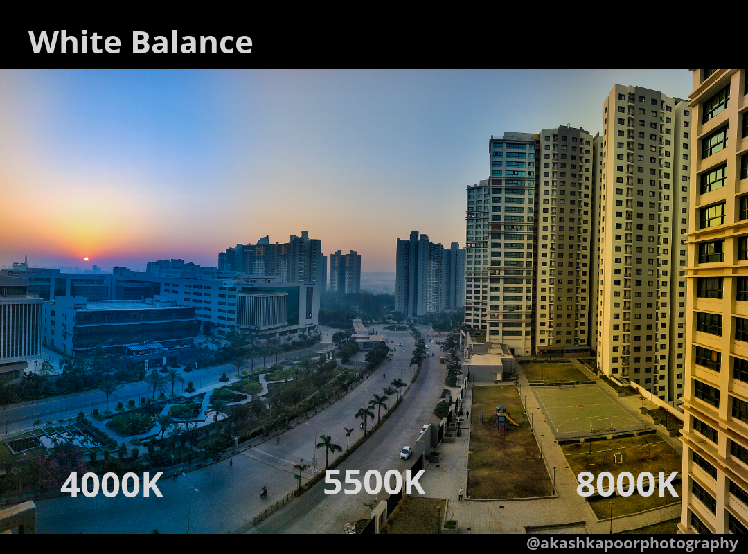 Photo of Photographers – Use 