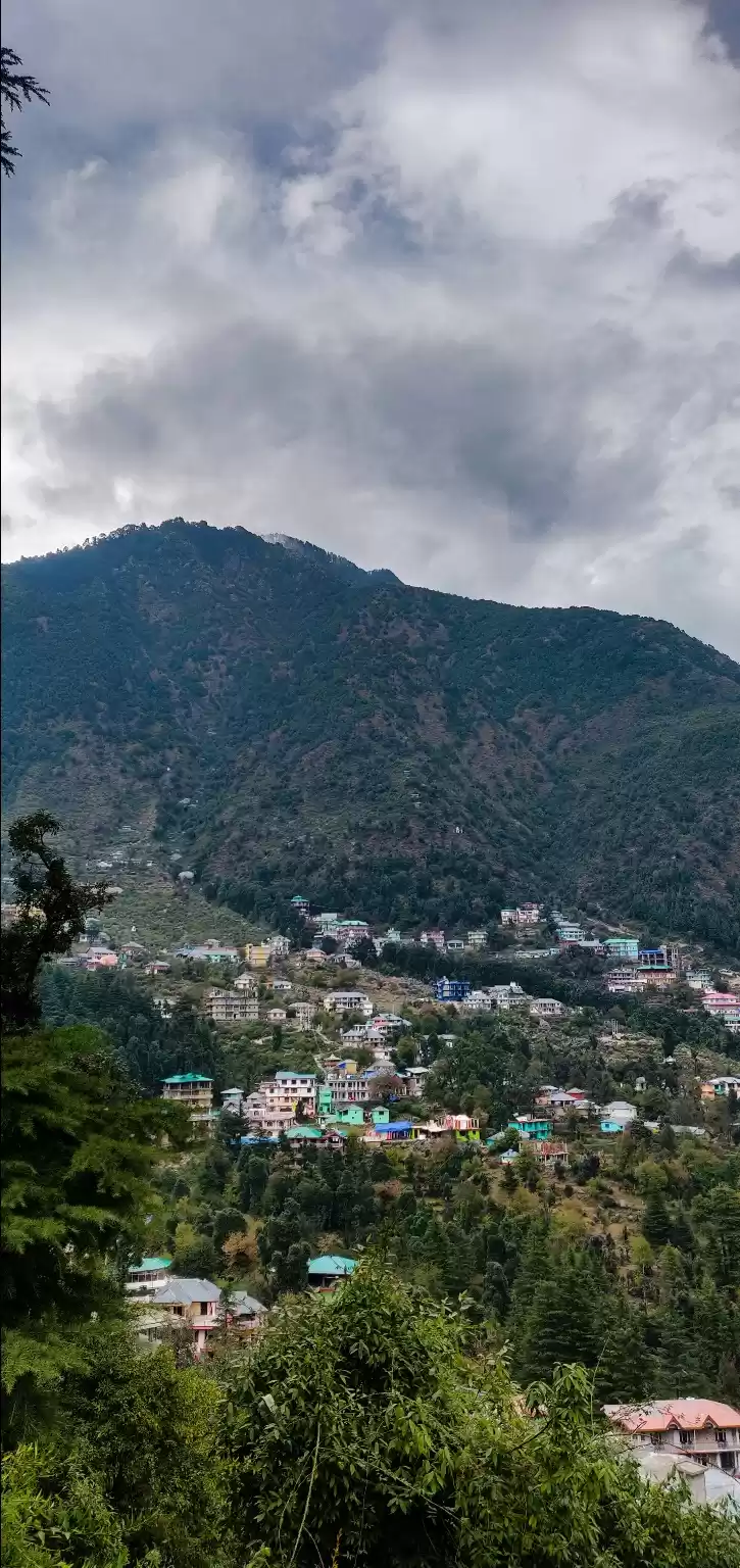 Photo of Himalayan Love!!