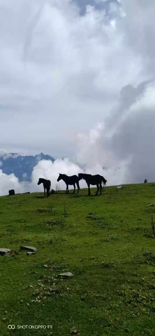 Photo of Chanderkhani Pass 