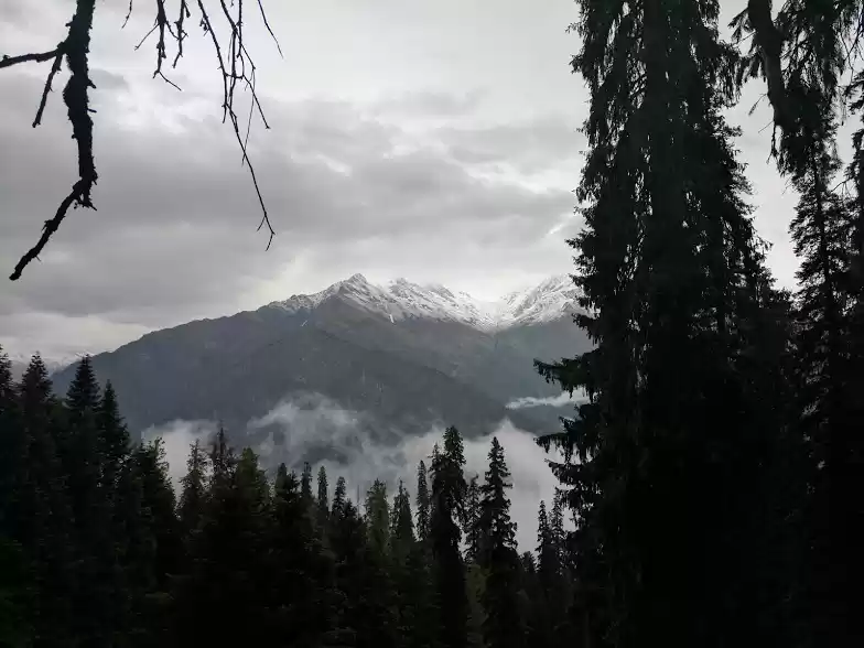 Photo of Journey to Wonderlan