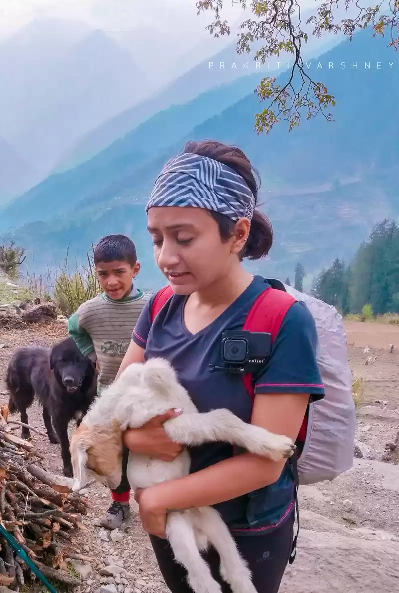 Photo of Pangarchulla Peak Tr