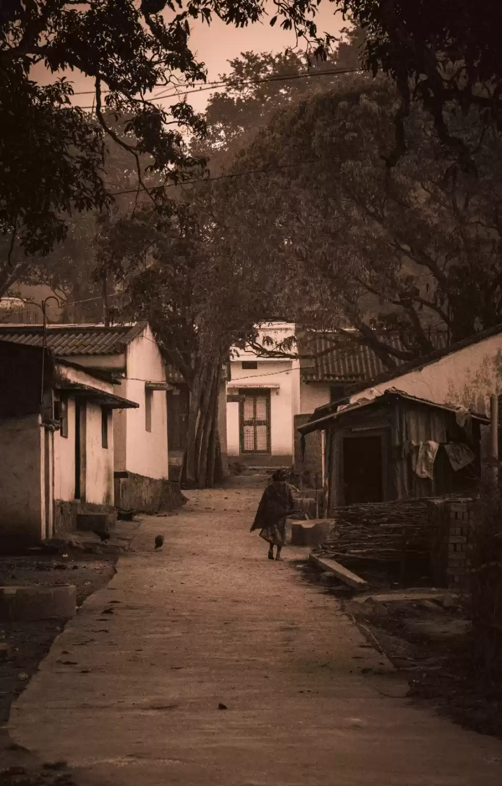 Photo of La Galleria