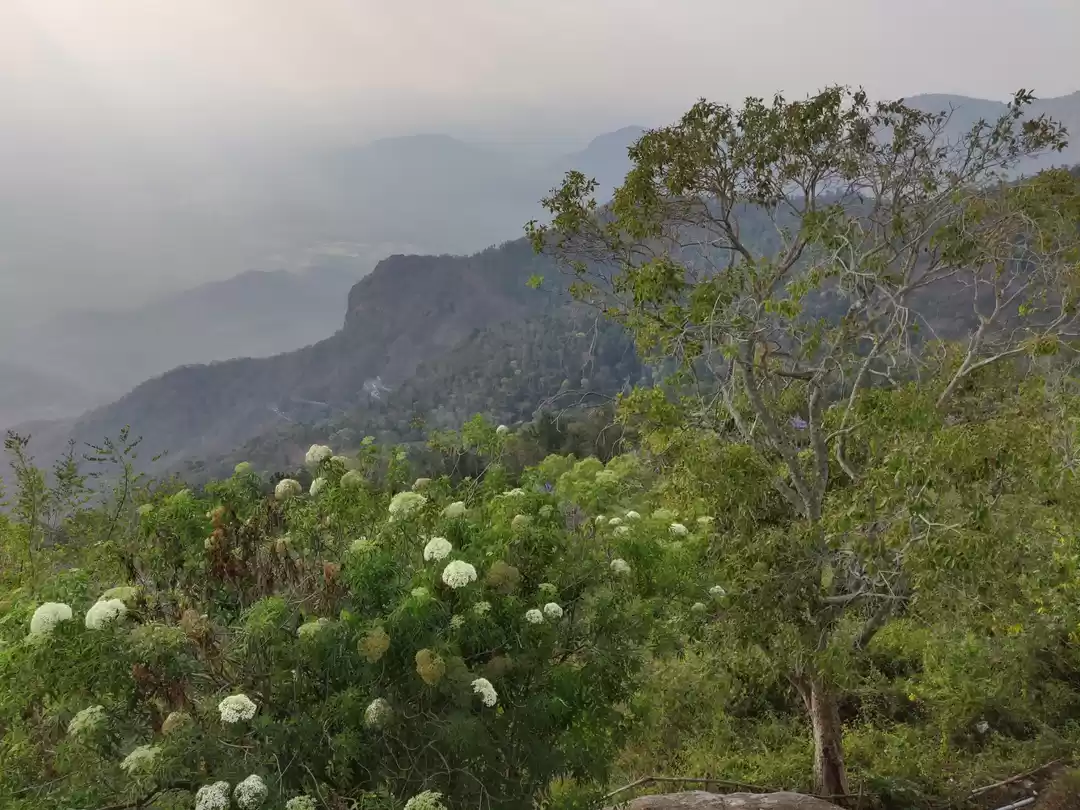 Photo of Road Trip to Yercaud