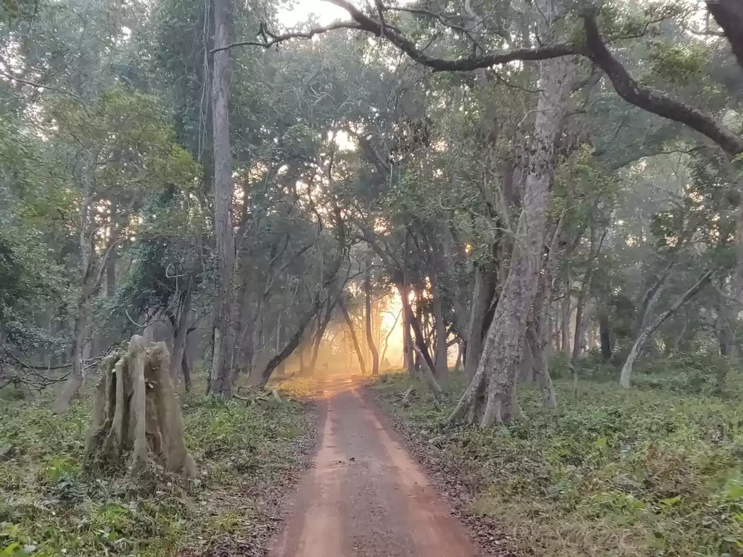 Photo of Dudhwa National Park