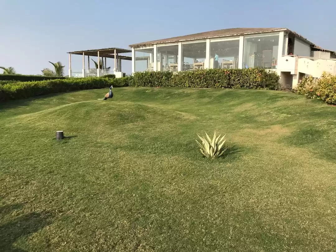 Photo of This Secluded Resort