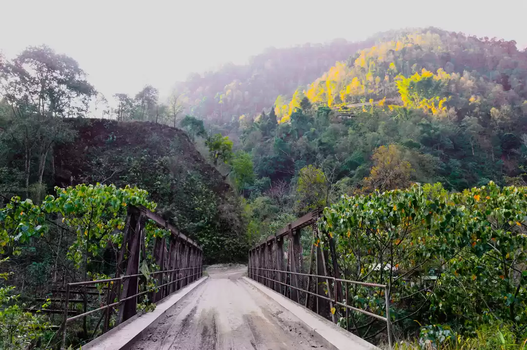 Photo of Horror affright in a