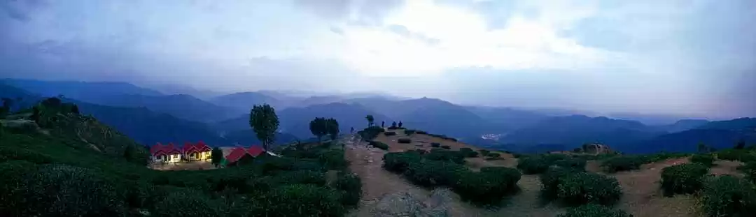 Photo of Cryptic Crackdowns t