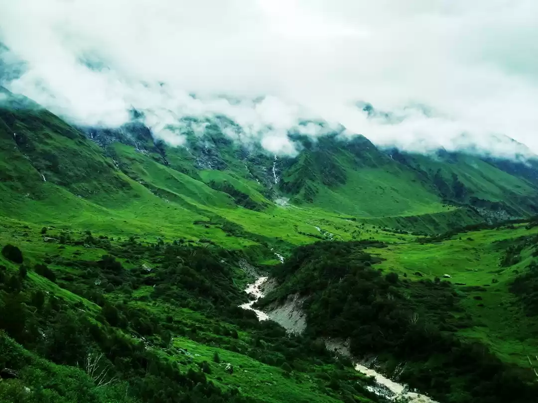 Photo of Backpackers Trip To