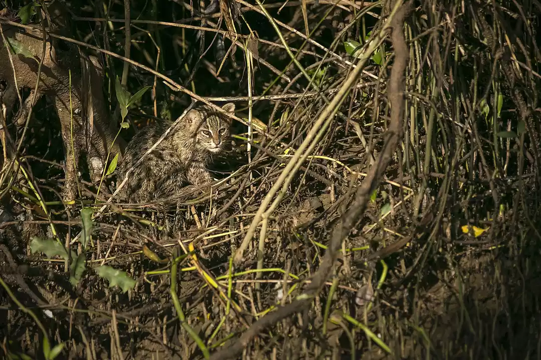 Photo of On the trail of the 
