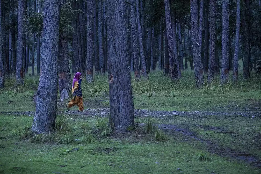 Photo of Kashmir’s Enchanted 