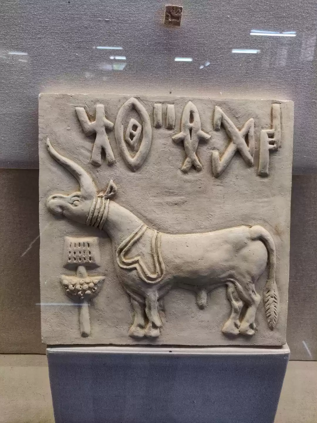 Photo of city of Indus Civili