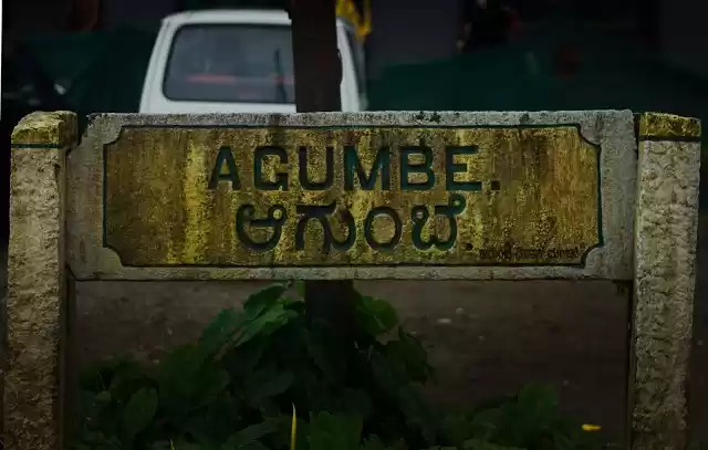 Photo of Agumbe - Cherrapunji