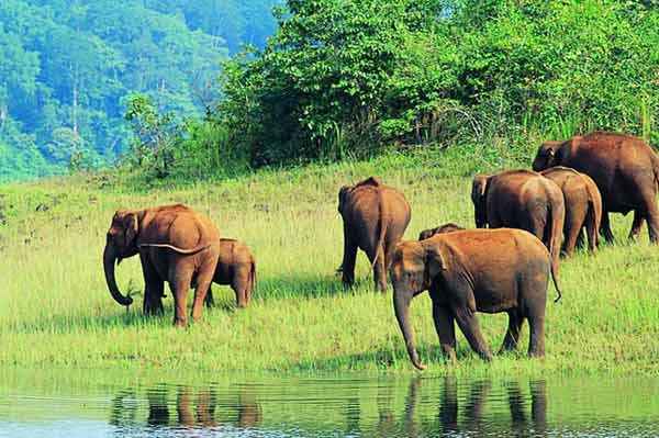 In the lap of nature, National parks worth visiting - Tripoto