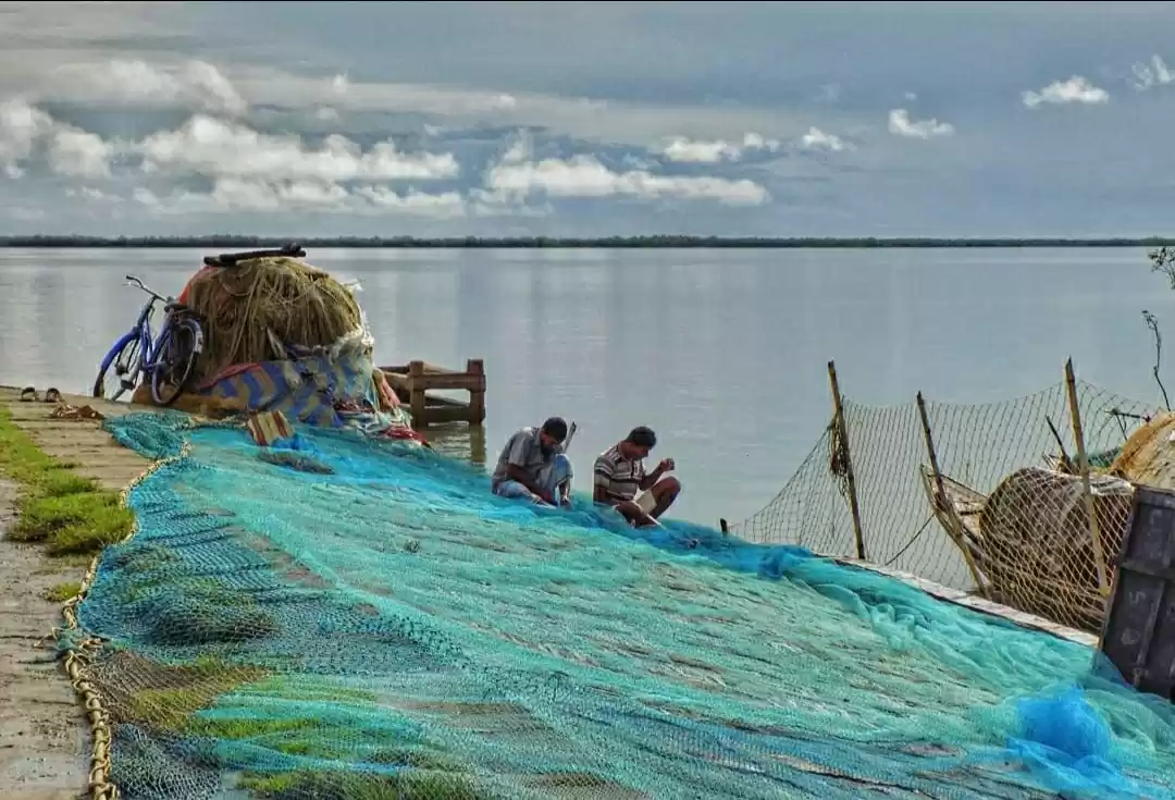Photo of Pre-Amphan Sundarban