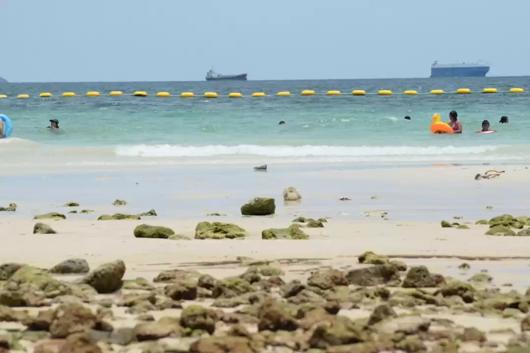 Photo of There is More to Pat