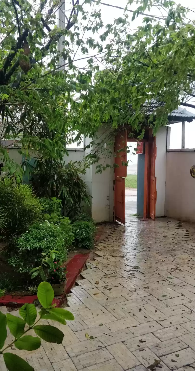 Photo of Kerala : God's Own C