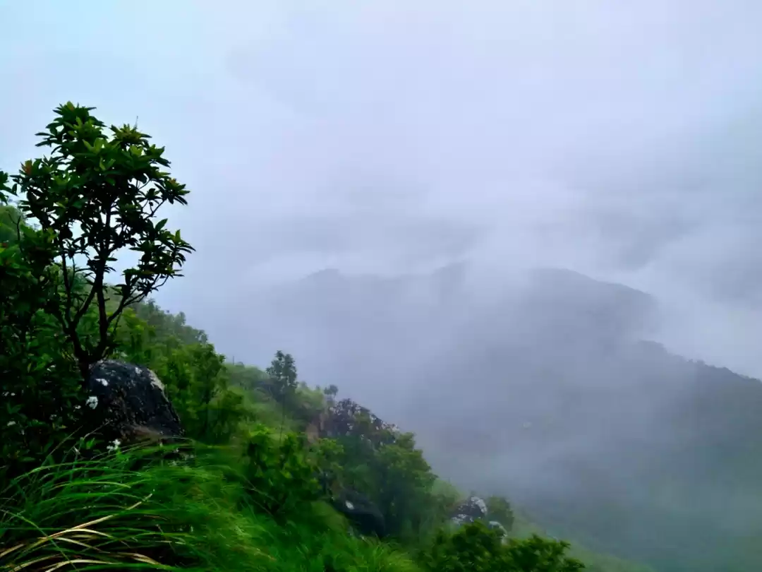 Photo of To the 'Ooty of Kera