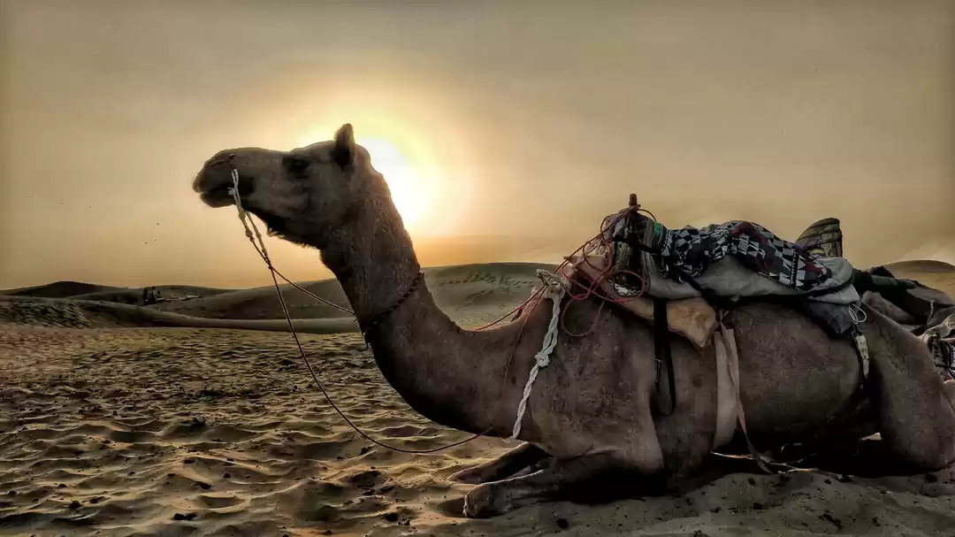 Photo of A ride to remember -