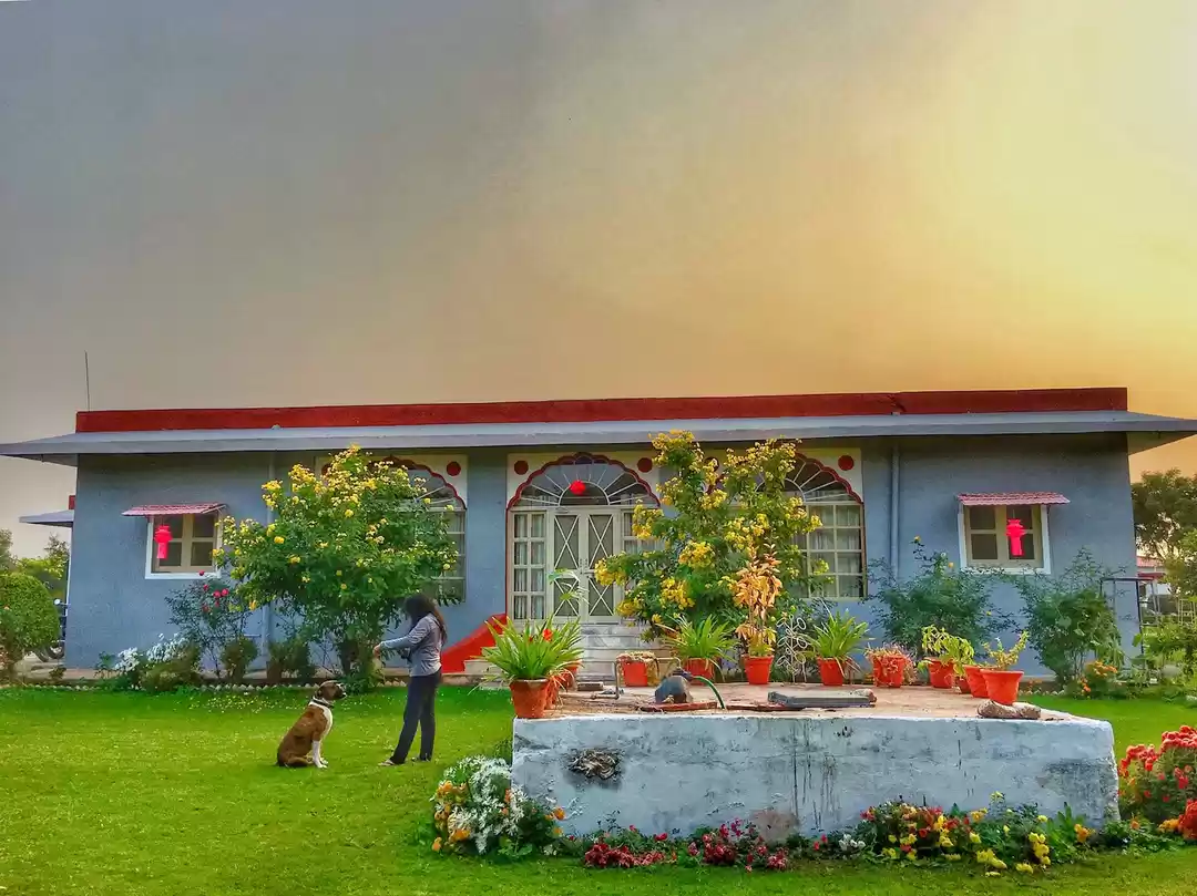 Photo of Experience The Count