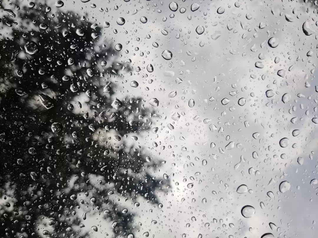 Photo of Mini Paradise - Tirt