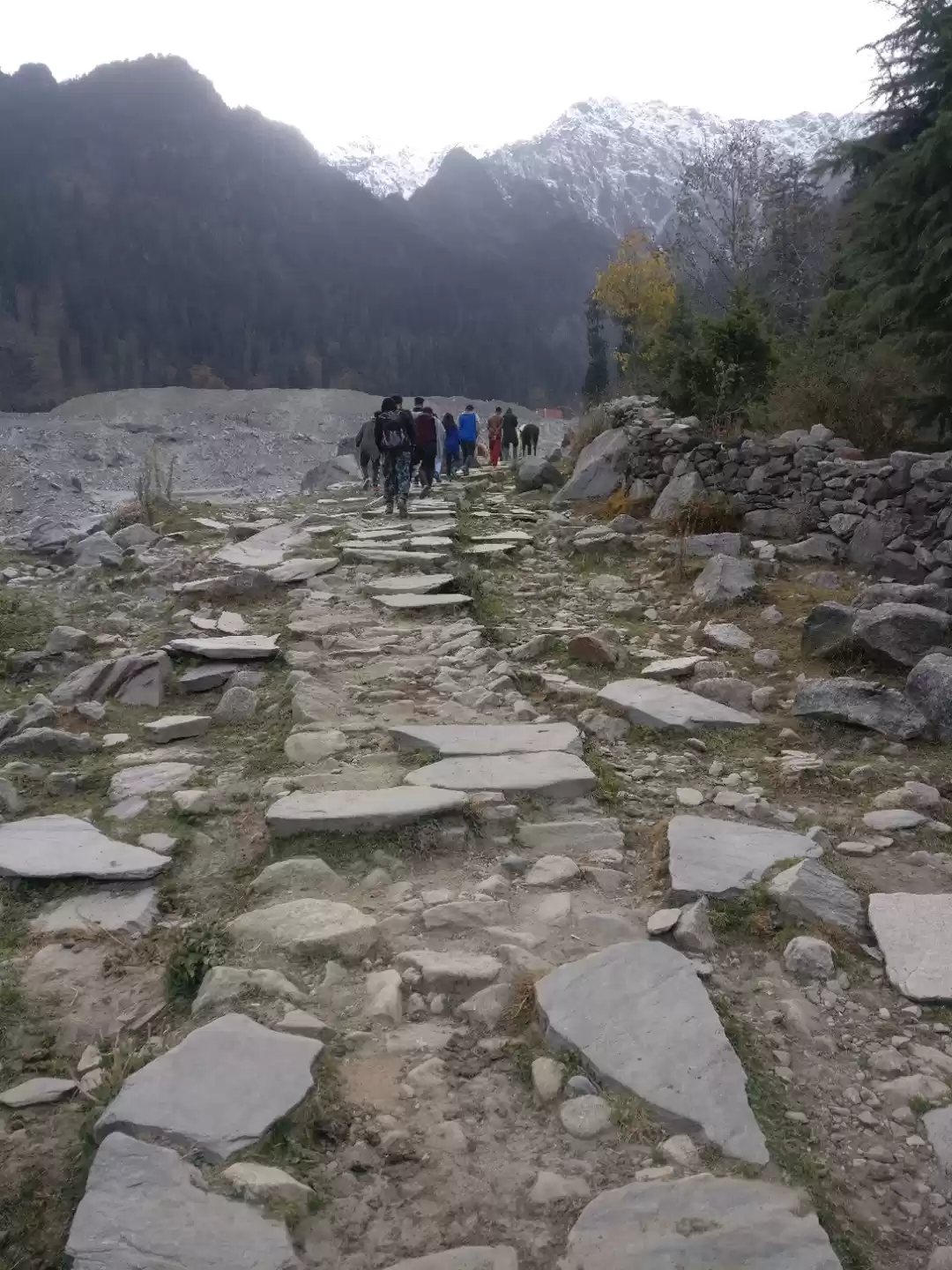 Photo of Maggie, Magic Pebble