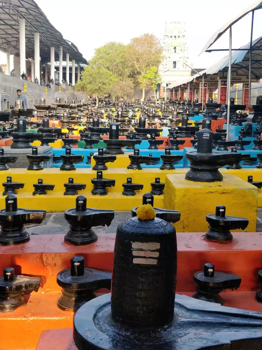 Photo of Bike Trip From Banga