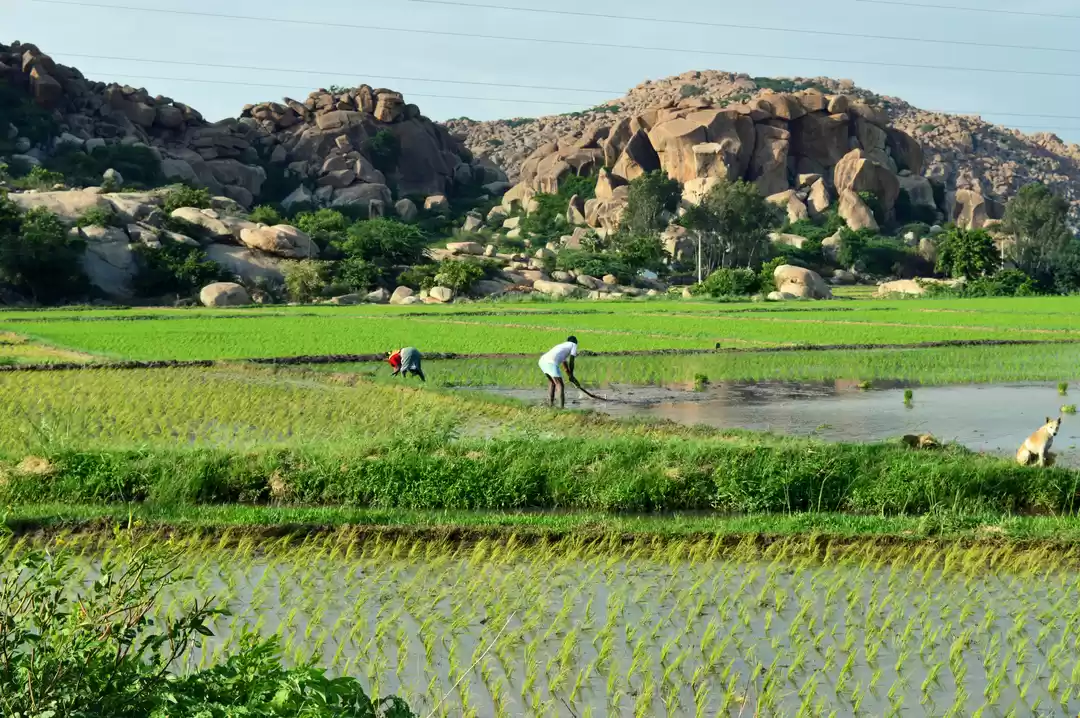 Photo of Mystical Hampi