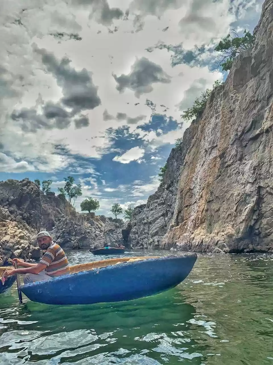 Photo of One of the best cora