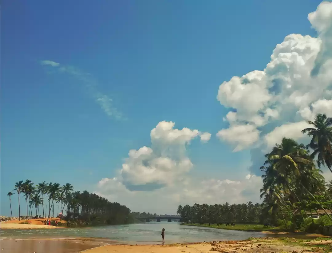 Photo of This is what you nee