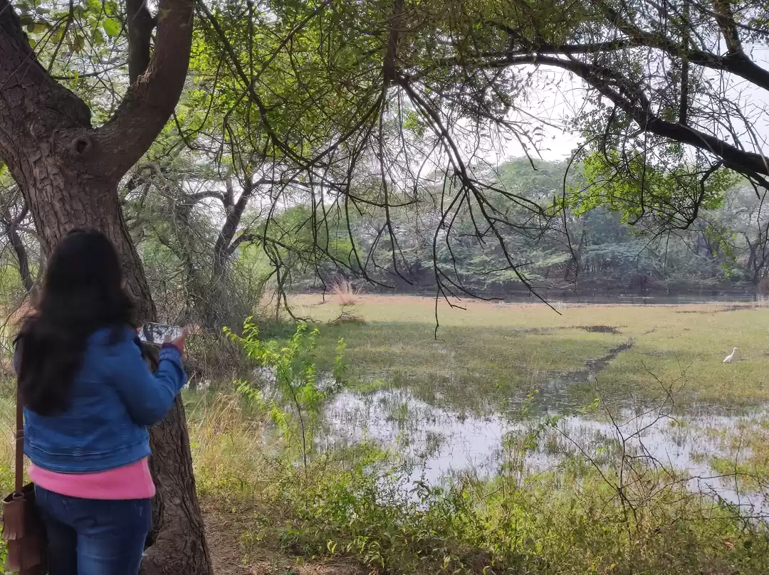 Photo of Did You know that ju