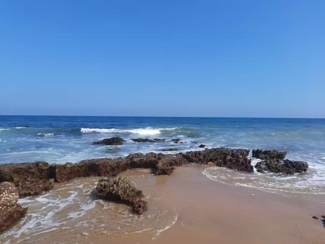 Photo of Traveling To Visakha