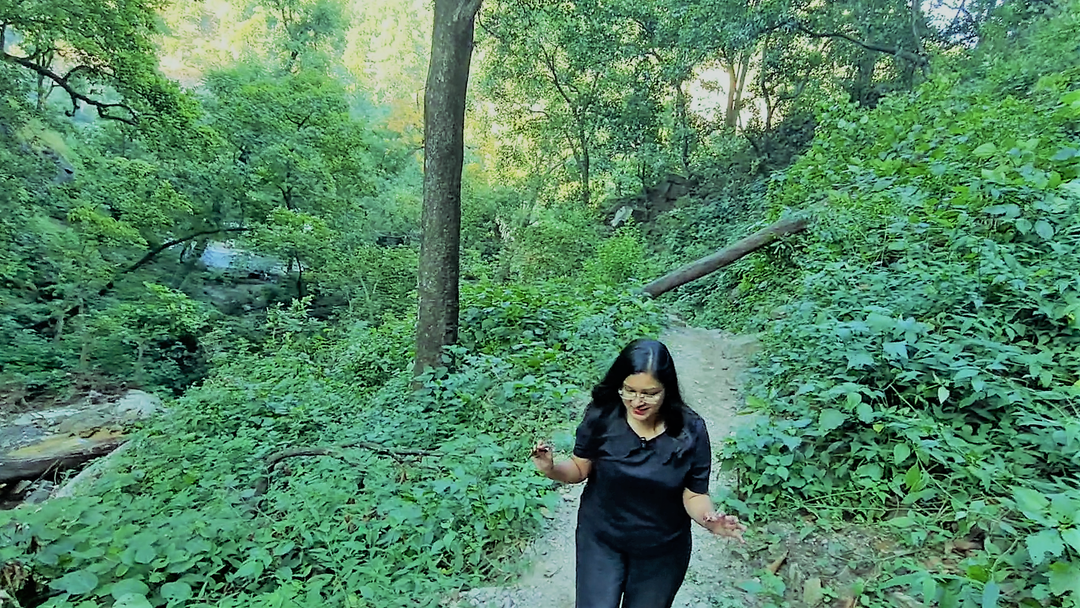 Photo of A Short Jungle Hike 