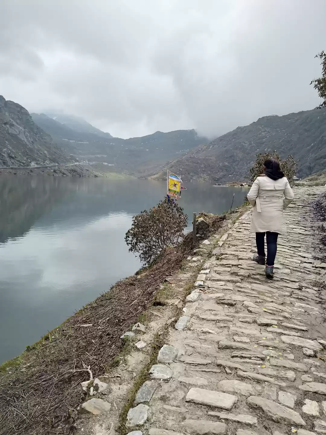 Photo of All You Need to Know