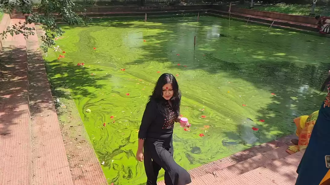 Photo of The Pond which hides