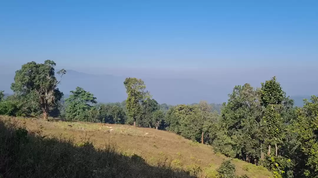 Photo of Mainpat- A Shimla wh