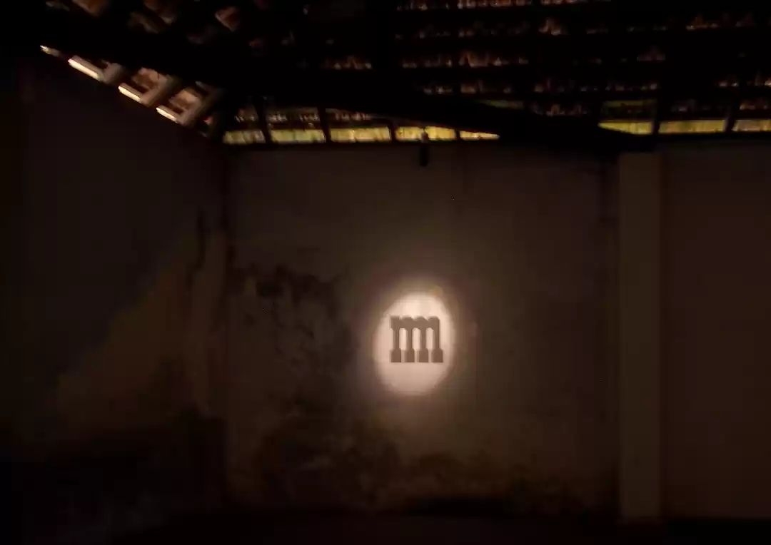 Photo of Kochi: Solo Indian W