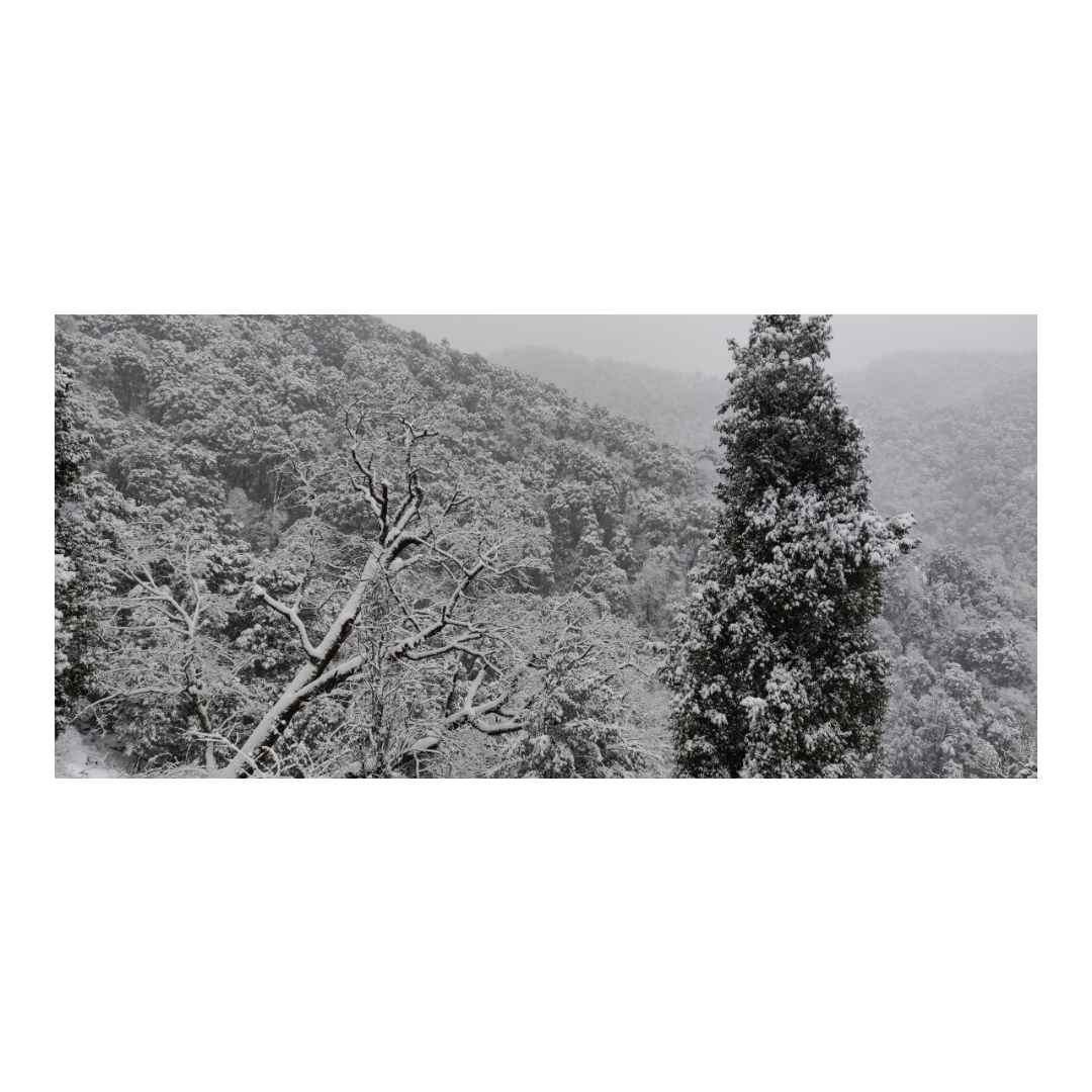 Photo of Mukta Top – 6 days o